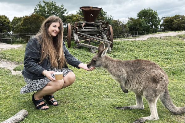Feeding Kangaroos Naru