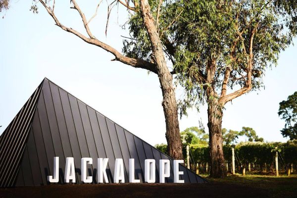 Jackalopelaunch 149