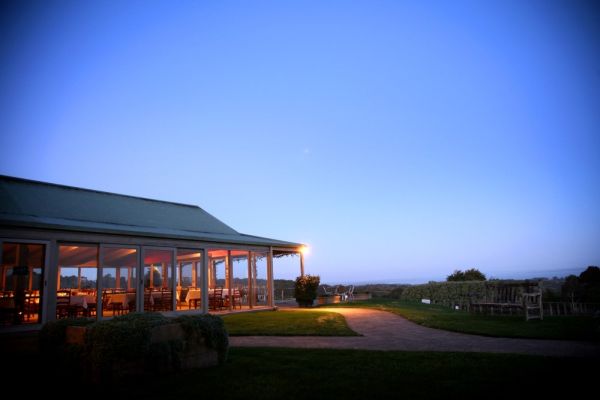 Dusk View