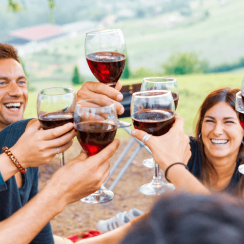 Photo Of People Doing A Cheers At Wine Tasting Melbourne Touring Company 793Px