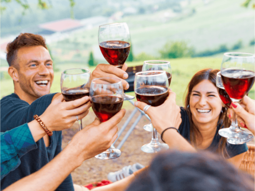 Photo Of People Doing A Cheers At Wine Tasting Melbourne Touring Company 793Px
