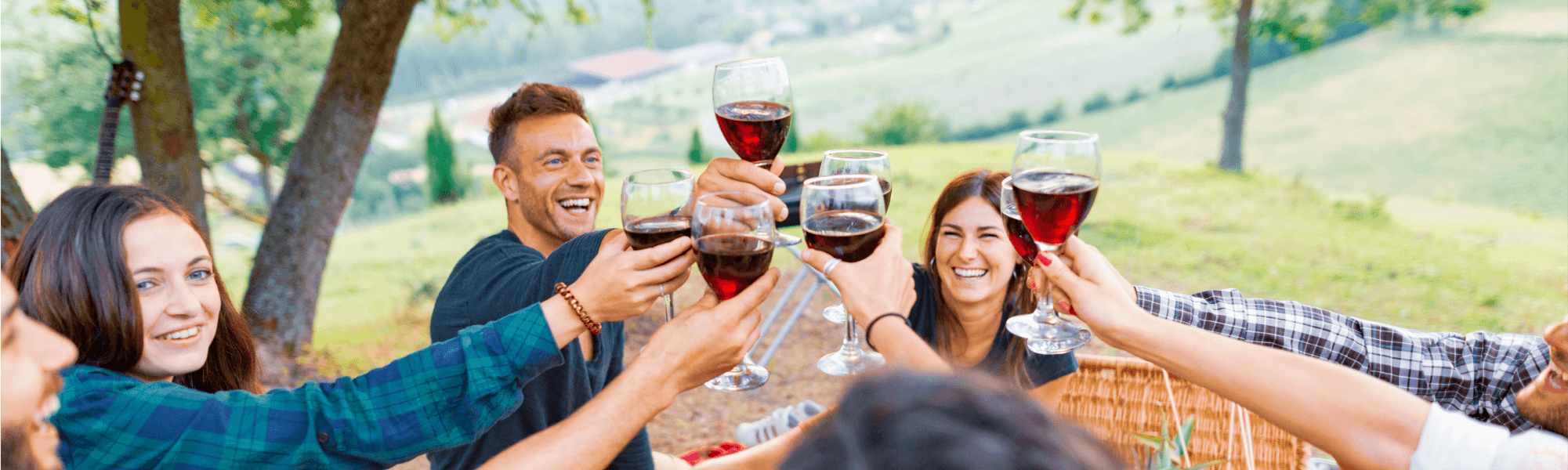 Corporate Wine Tasting Tours from A$150 per person