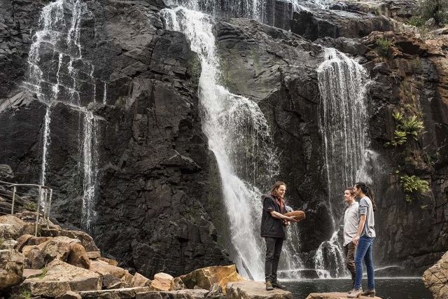 Mckenzie Falls Tour Gr R 1461089 1150X863