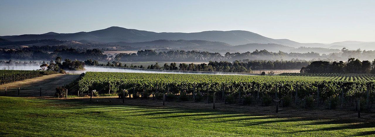 Yarra Valley Private Wine Tours