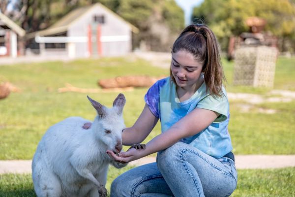 Becky Hand Feeding Albino Kangaroo (Custom)