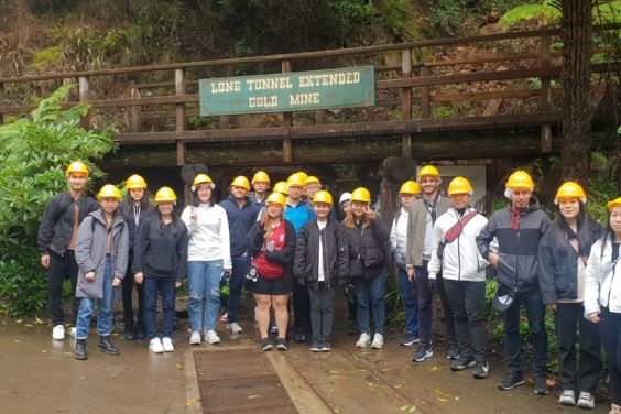 Tour Group
