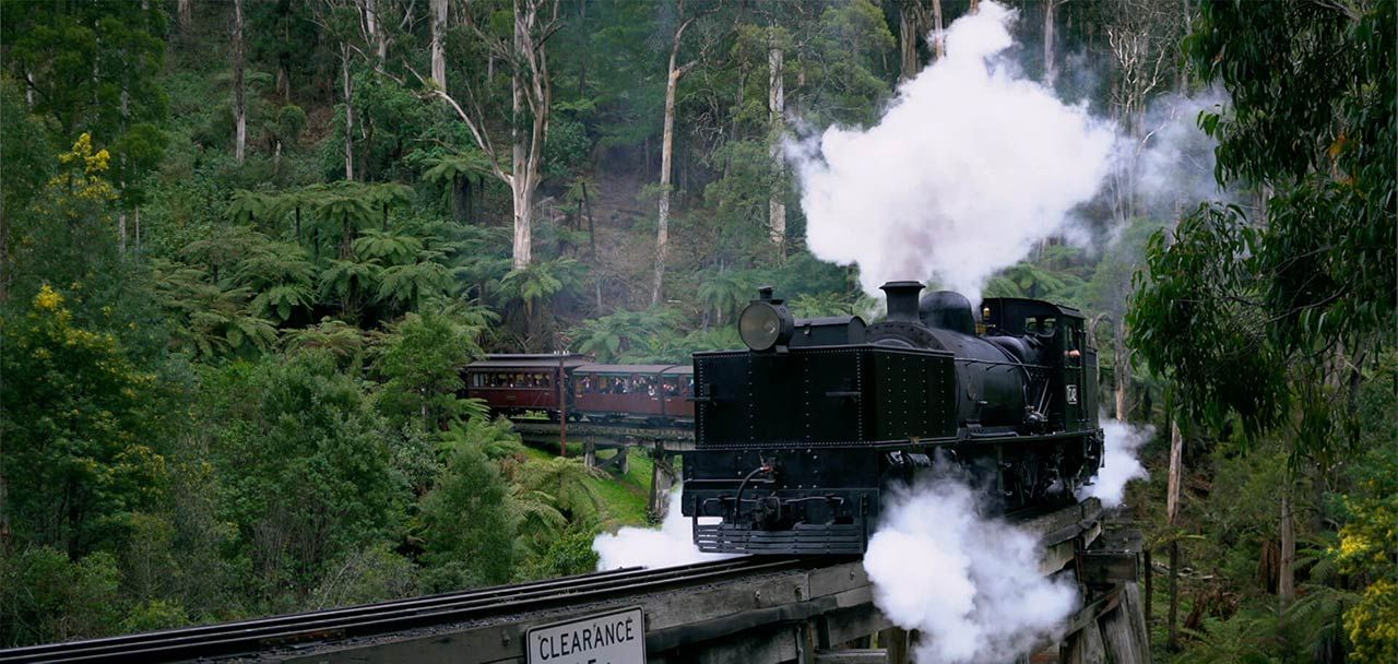 Puffing Billy to Phillip Island Private Day Tours From $1599