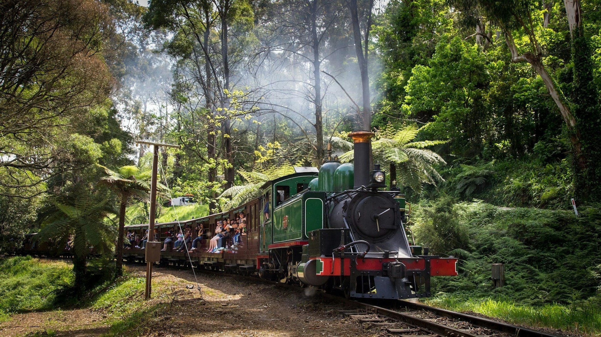 Puffing Billy And Tree Ferns 1783662346
