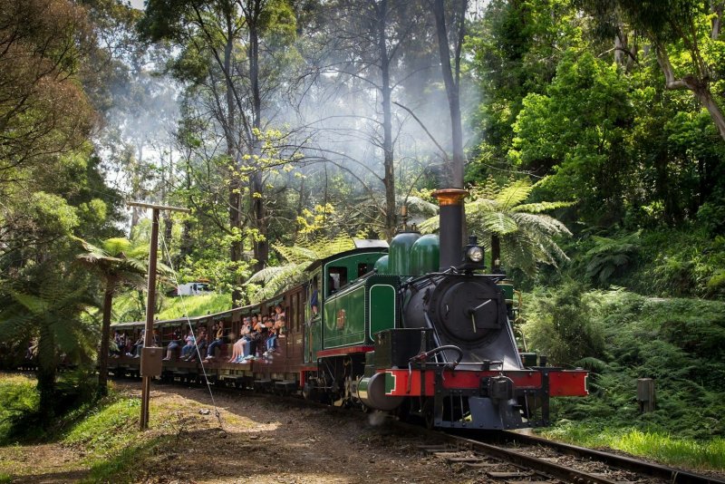 Puffing Billy And Tree Ferns 1783662346