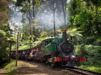 Puffing Billy And Tree Ferns