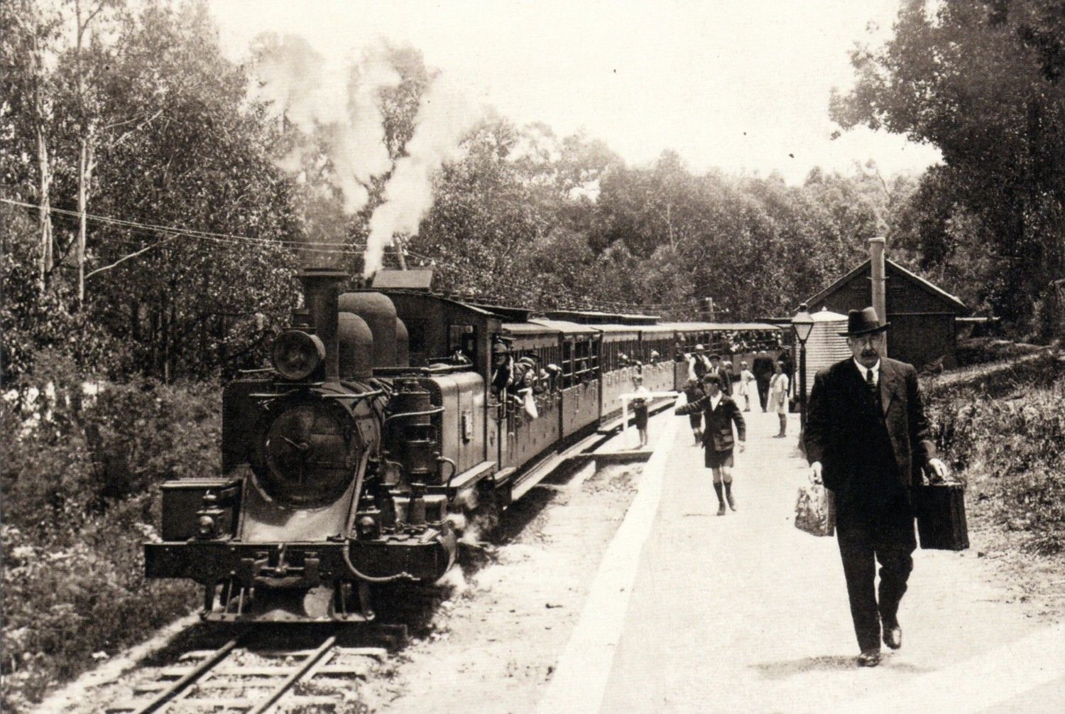 Puffing Billy Arriving At Newly Opened Tecoma Station