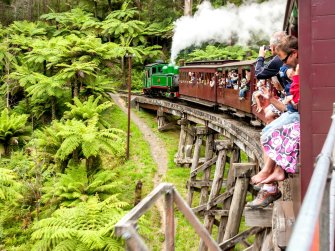 Puffing Billy Legs Hanging Out'