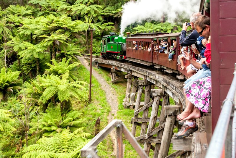 Puffing Billy Legs Hanging Out'