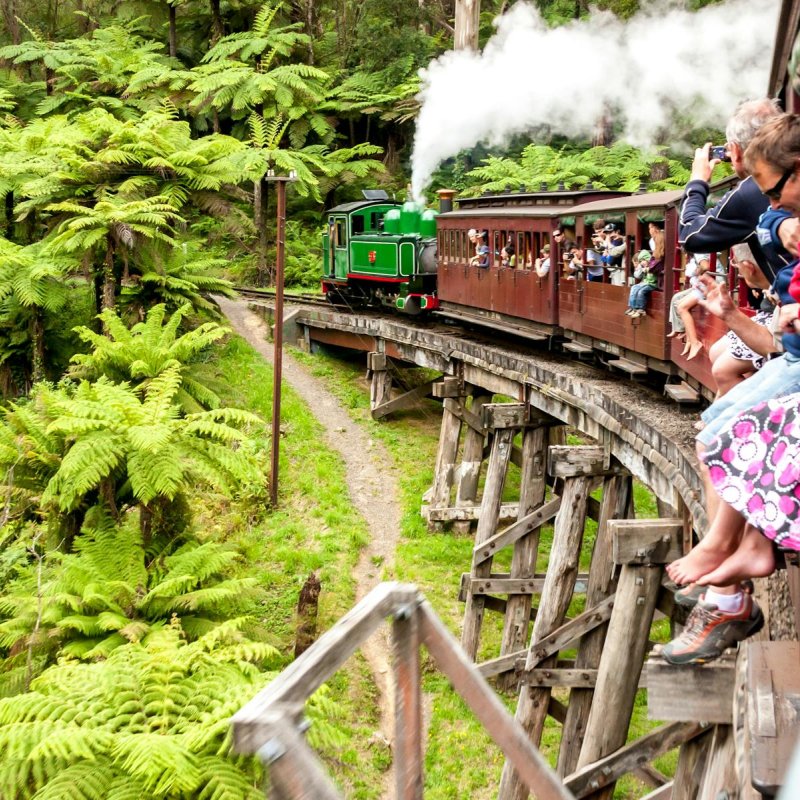 Puffing Billy Legs Hanging Out'