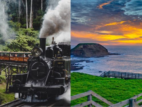 Puffing Billy Phillip Island Private Day Tour Melbourne Touring Company