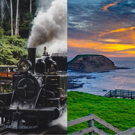 Puffing Billy Phillip Island Private Day Tour Melbourne Touring Company