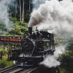Puffing Billy Private Tours Melbourne Touring Company
