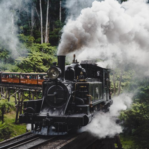 Puffing Billy Private Tours Melbourne Touring Company