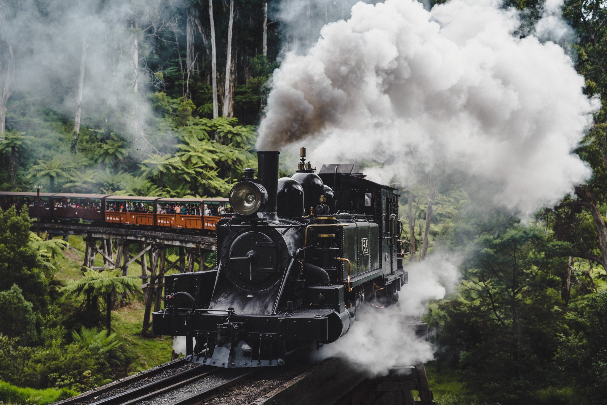 Last Minute Tickets Available with our Puffing Billy Day Tour from $999