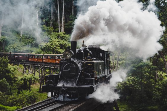 Puffing Billy Private Tours Melbourne Touring Company