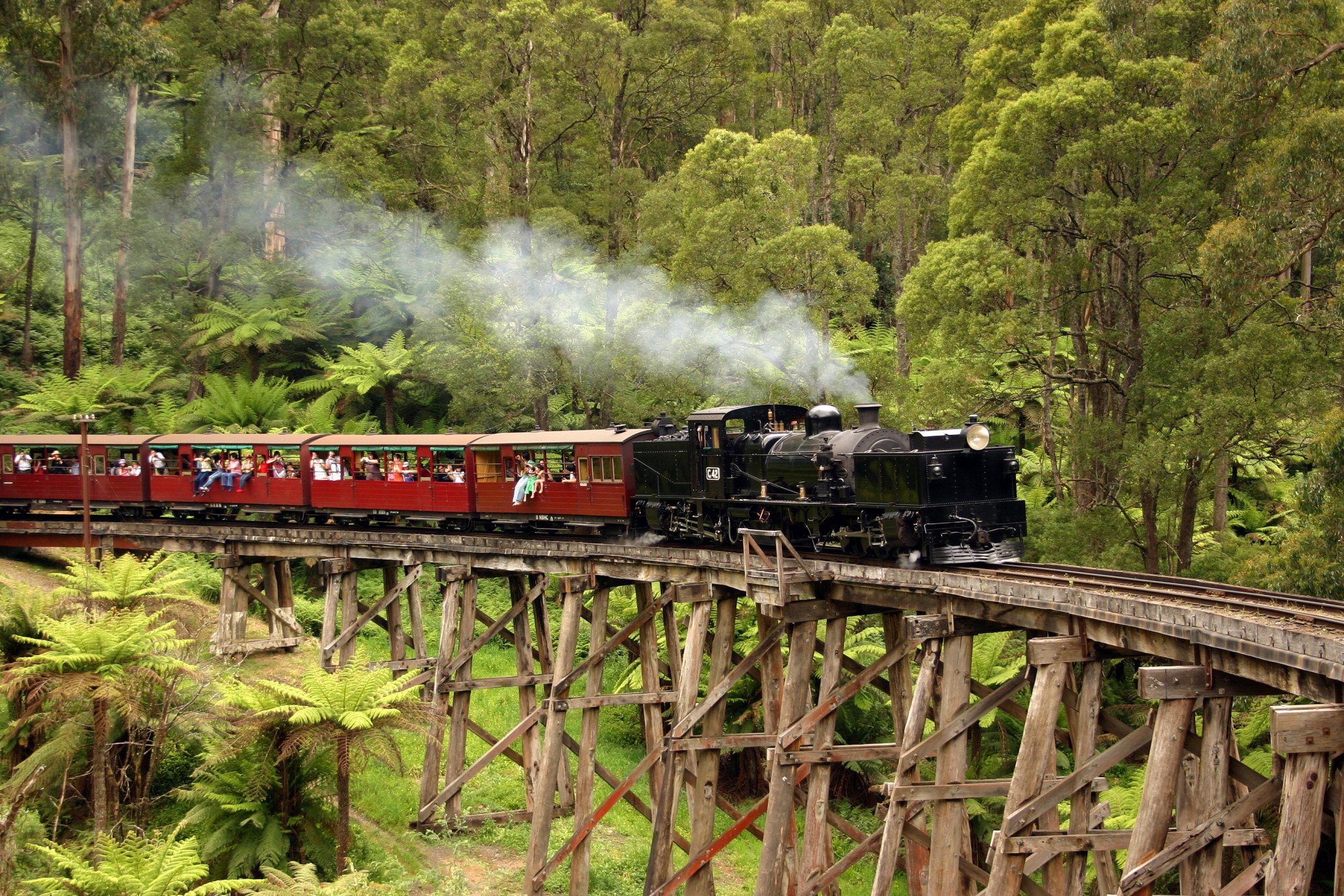 Last Minute Tickets Available* with our Puffing Billy Private Tours (Melbourne): Dandenong Ranges Private Day Trips