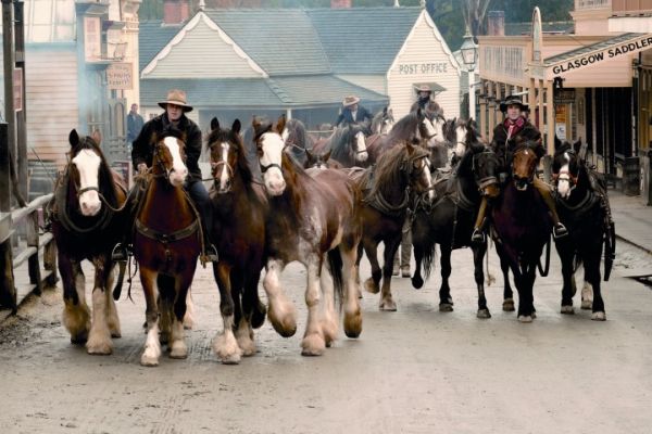 Original 9672808 Ag02 Clydesdale Horses Apip19Y 1600X900