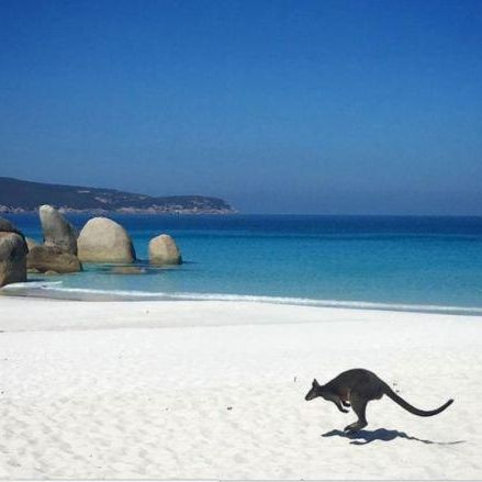 Squeaky beach voted Australia’s best beach in 2024
